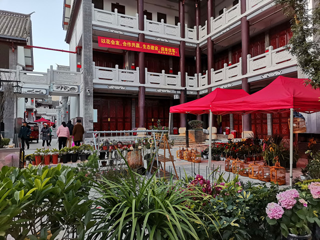 许灵锋摄影  茶花展  18088385760_副本.jpg