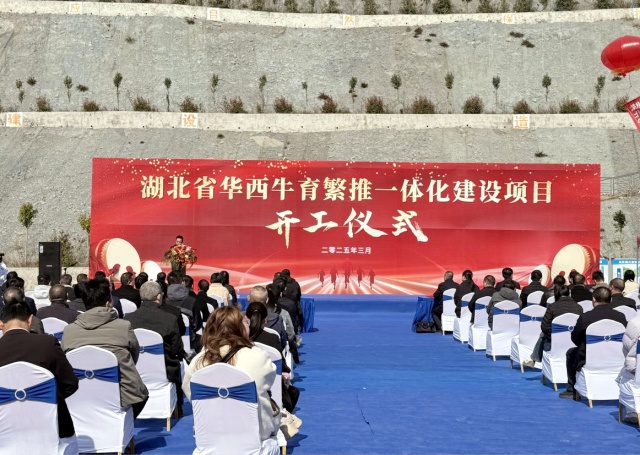 图片4_副本.jpg